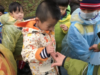 圖1.藉由殼斗科植物種實的觀察與觸摸體驗，引發孩子對自然的興趣(1/2)